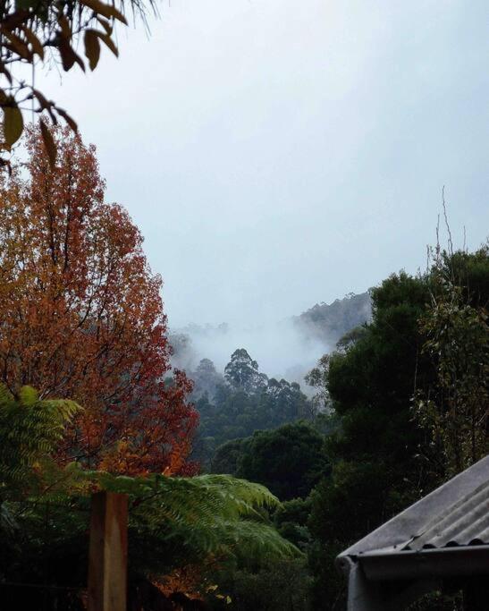 Harrys House Warburton - Peaceful Riverside Cottage In The Perfect Location Екстериор снимка