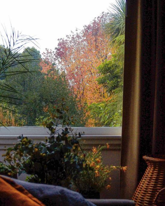 Harrys House Warburton - Peaceful Riverside Cottage In The Perfect Location Екстериор снимка
